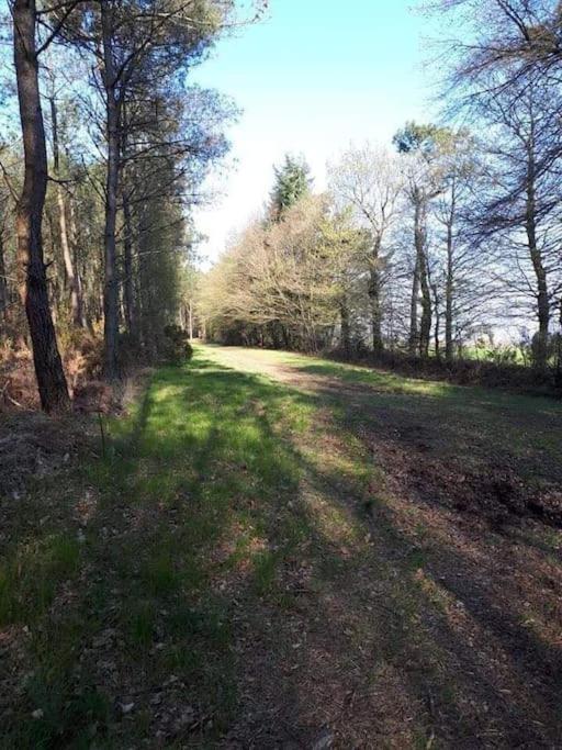 Mobil Home Au Coeur De Broceliande بيامبونت المظهر الخارجي الصورة